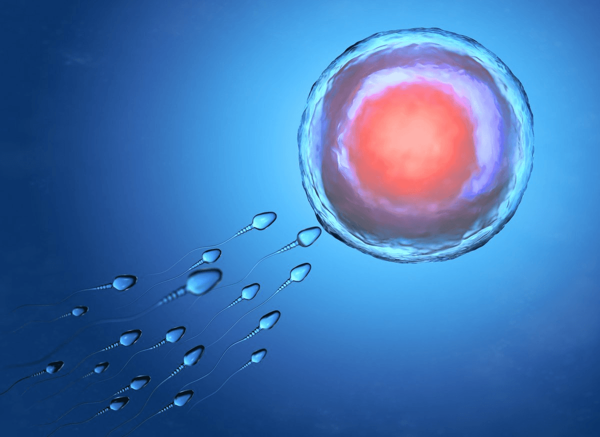 Understanding egg health and how to improve&nbsp;it