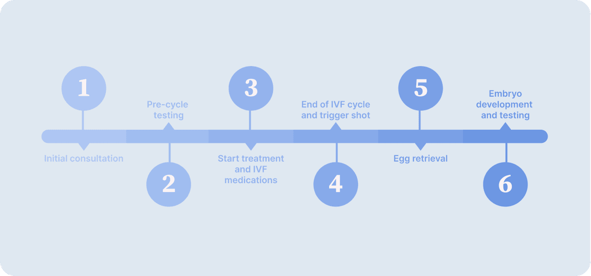 How long does an IVF cycle&nbsp;take?