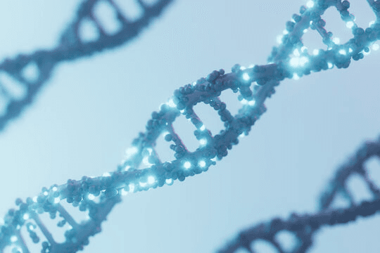 The role of genetics in&nbsp;fertility